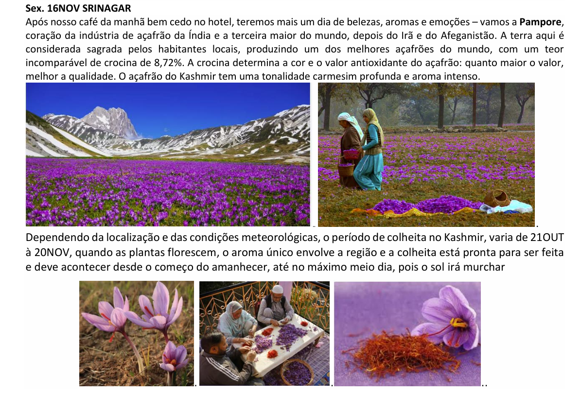 Captura de tela 2025-08-23 161603.png
